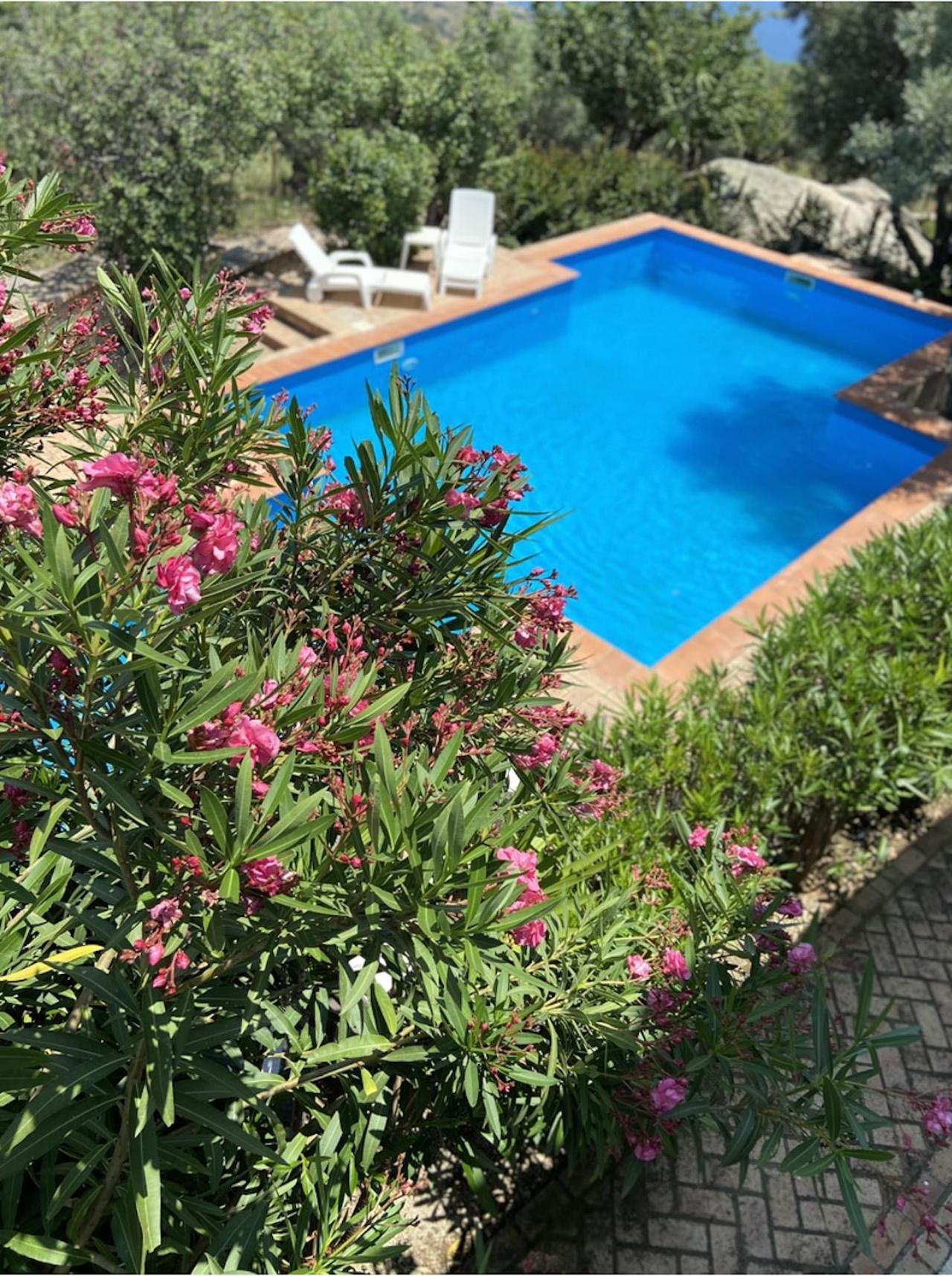 Holiday home Cassiodoro
