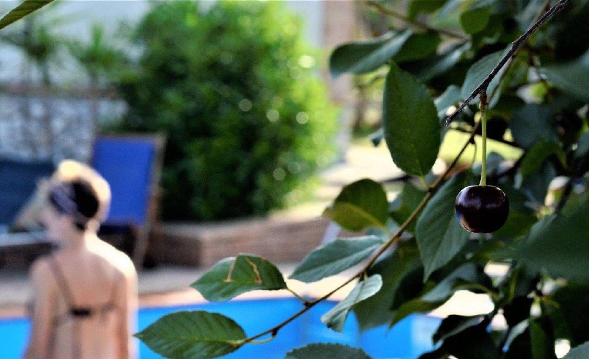Holiday home Cassiodoro *