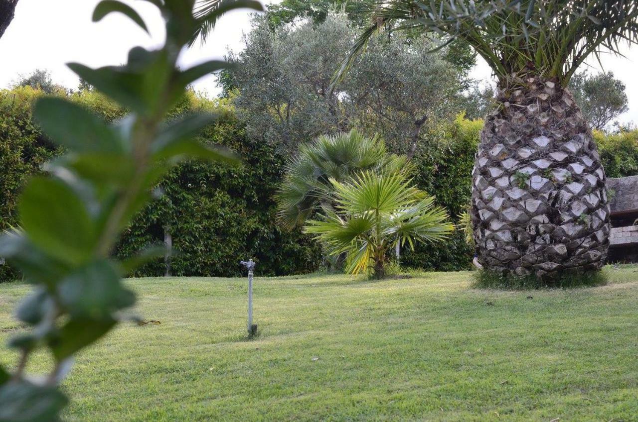 Cassiodoro *