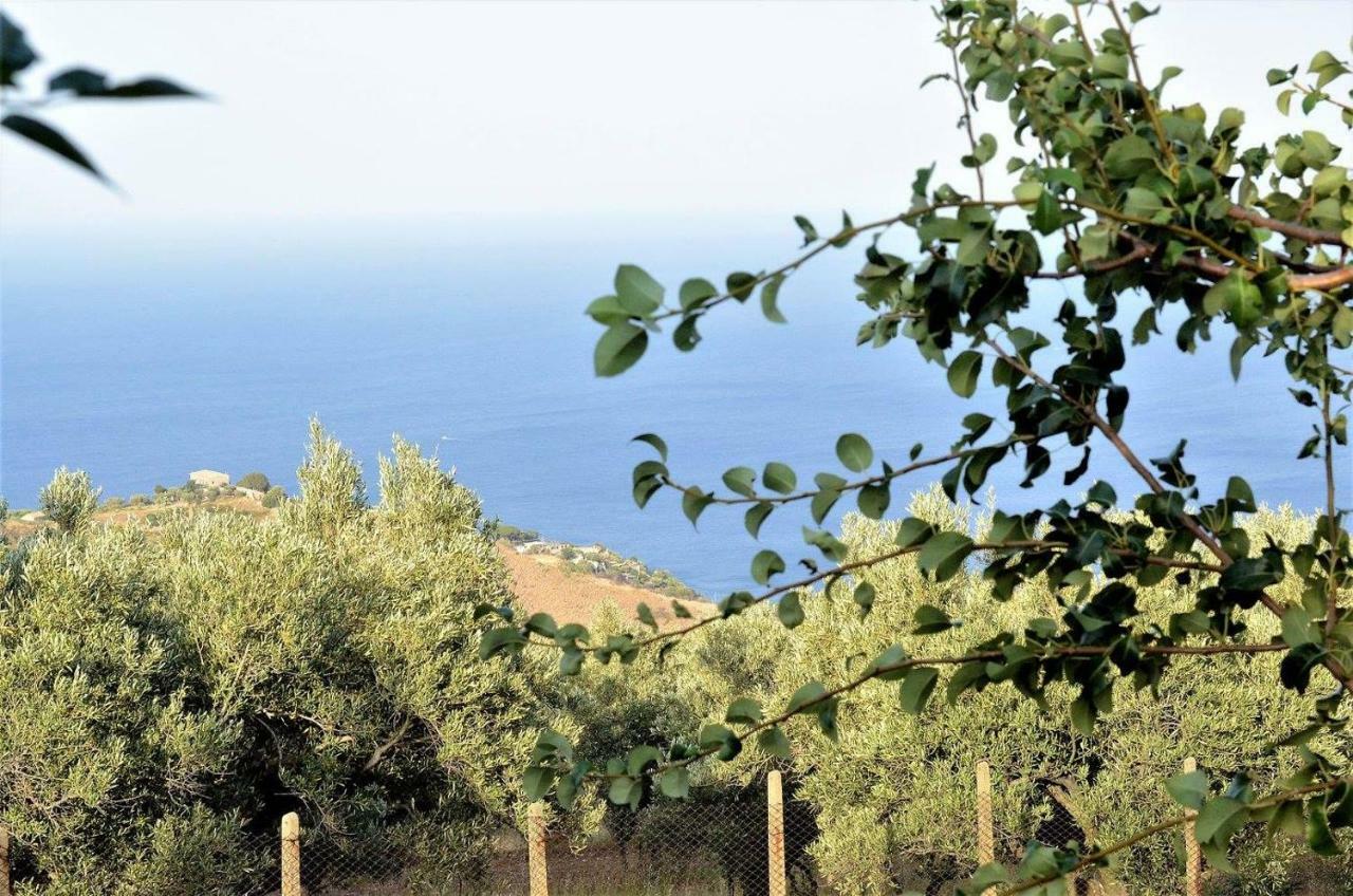 Holiday home Cassiodoro